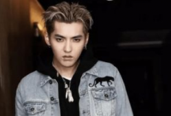 吴亦凡视频,揭秘明星背后的真实生活