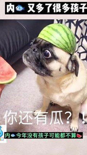 娱乐吃瓜酱宝宝是谁,网络红人的崛起之路 第3张 娱乐吃瓜酱宝宝是谁,网络红人的崛起之路 第3张