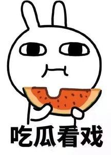 娱乐吃瓜必备图,吃瓜群众必备图鉴  第2张