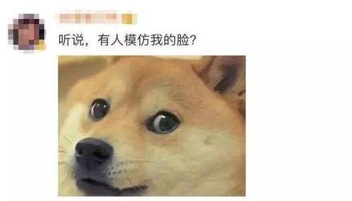 微信表情包吃瓜什么意思,揭秘微信表情包“吃瓜”背后的趣味与内涵  第3张