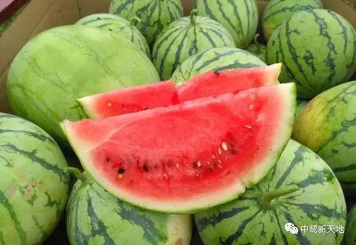 今日吃瓜,揭秘娱乐圈最新热点事件  第3张