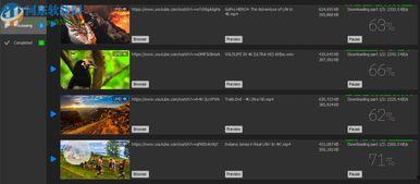 4k测试视频下载,画质体验与下载技巧全揭秘  第3张