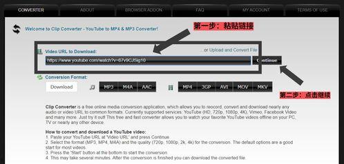 youtube视频下载工具,使用热门下载工具的简易指南
