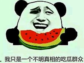 娱乐吃瓜号为什么那么恶心